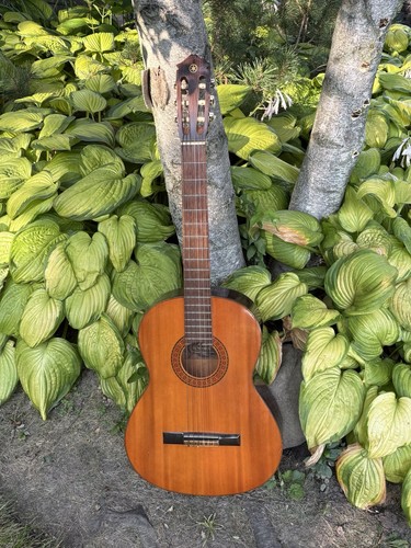 Yamaha a nylon string - -,